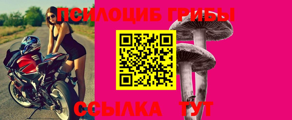 Галлюциногенные грибы ЛСД  Галлюциногенные грибы Cubensis  Москва  Вход с VPN 