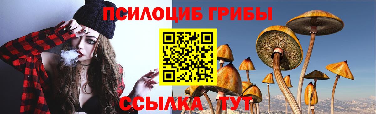 Галлюциногенные грибы Psilocybine cubensis Москва
